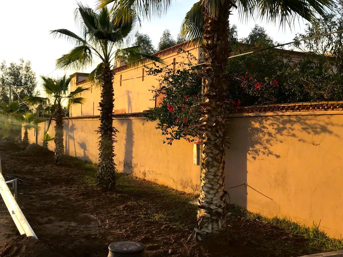 Palais Souad Vila Marraquexe Exterior foto
